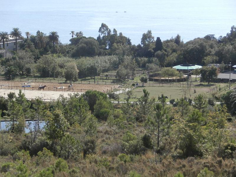 PA110074.JPG