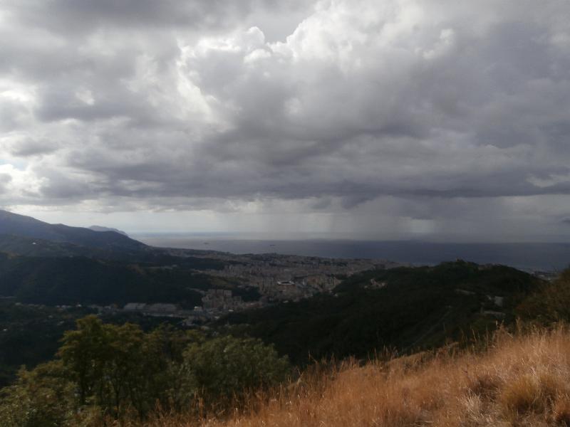 P8160021.JPG