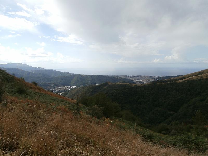 P8160045.JPG