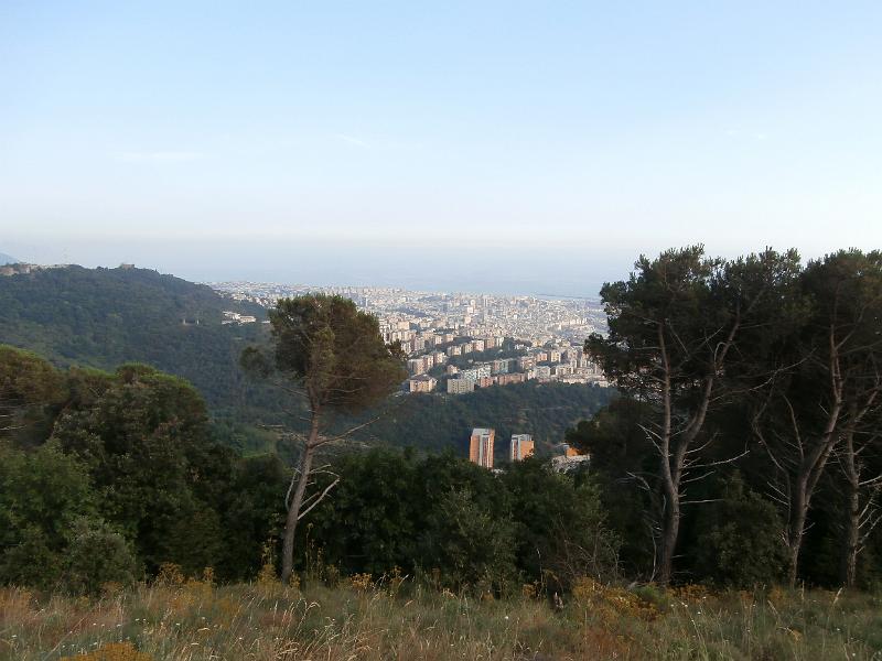 P7210005.JPG