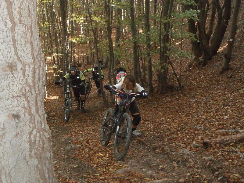 PA210038.JPG