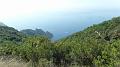 SAM_1659
