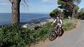 SAM_1364