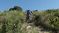 SAM_1409