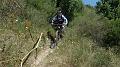 SAM_1431