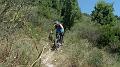 SAM_1432