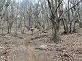 SAM_1605