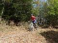 SAM_3899