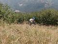 SAM_3932