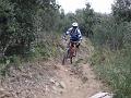 SAM_0533