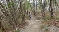 SAM_3732