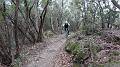 SAM_3775