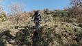 SAM_4864