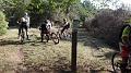SAM_4351