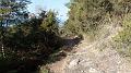 SAM_4352
