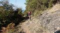 SAM_4354