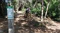 SAM_4374