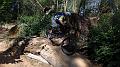 SAM_4381