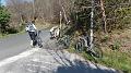SAM_3562