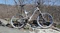SAM_3578