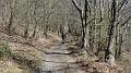 SAM_3580