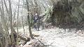 SAM_3593