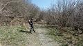 SAM_3630
