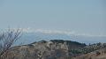 SAM_3632