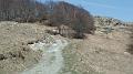 SAM_3648