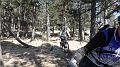 SAM_3693