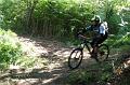SAM_5446