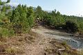 SAM_6049