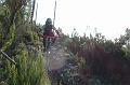 SAM_6053