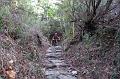 SAM_6070