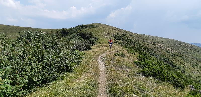 20180821_134659.jpg