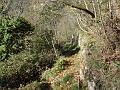 SAM_7879