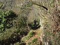 SAM_7880