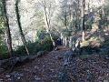 SAM_7883