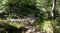 SAM_7164