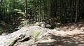 SAM_7179