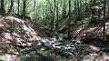 SAM_7180