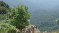 SAM_7185