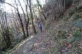 SAM_8033