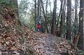 SAM_8034