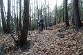 SAM_8036