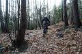 SAM_8037