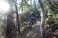 SAM_8046