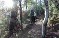 SAM_8047