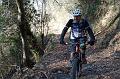 SAM_8229