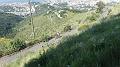 SAM_9831